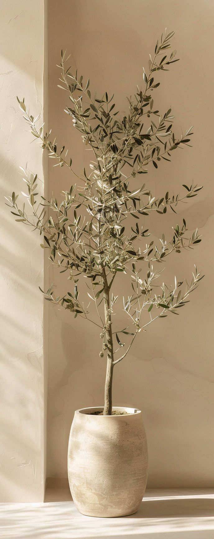 Mediterranean Aesthetics